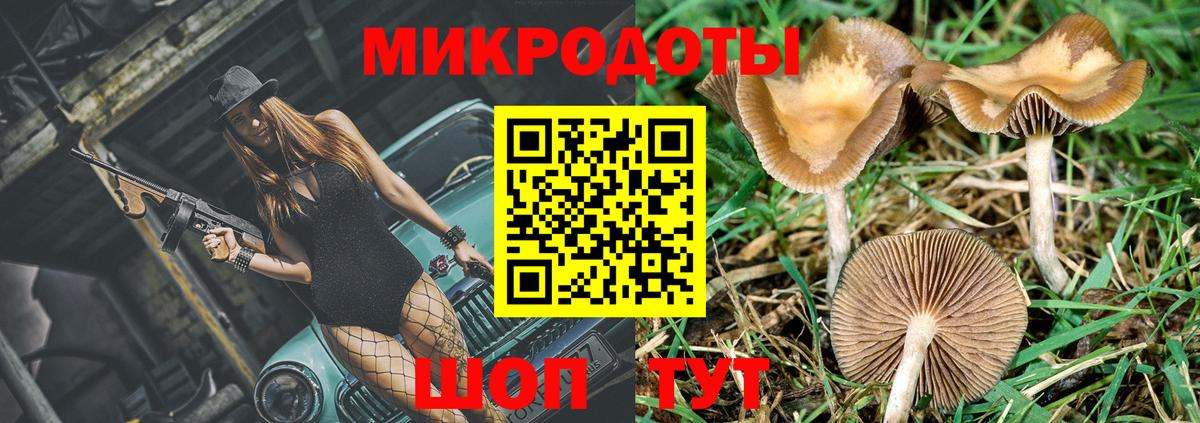 Галлюциногенные грибы прущие грибы Сатка